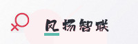 智链伙伴
